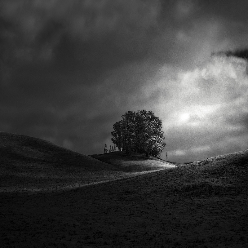 Down in the Valley - &copy; Nathan Wirth | Schwarz-weiss