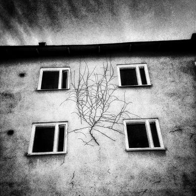 There won't be any cute secrets. / Dokumentation  Fotografie von Fotograf Jonas Berggren ★6 | STRKNG