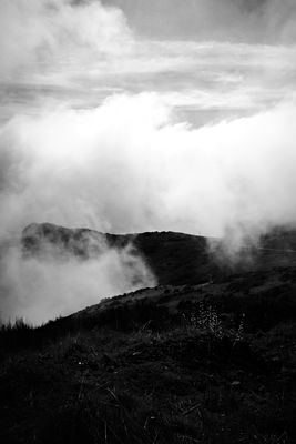 Mist / Schwarz-weiss  Fotografie von Fotografin WeirdView ★3 | STRKNG