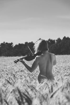 Harmonie / Schwarz-weiss  Fotografie von Fotograf photopherapy | STRKNG