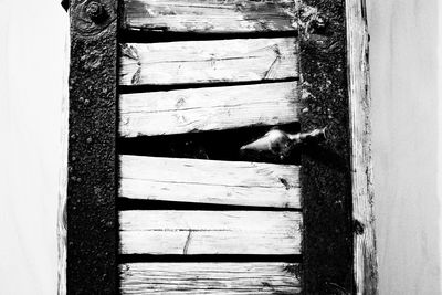 And a bottle of rum. / Black and White  photography by Photographer Artista Vivente | STRKNG