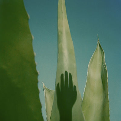 Polaroid sx 70 # by De Luca Augusto .3 / Kreativ  Fotografie von Fotograf De Luca Augusto ★3 | STRKNG