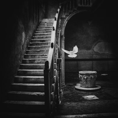 Schwarz-weiss  Fotografie von Fotograf Ando Fuchs ★24 | STRKNG