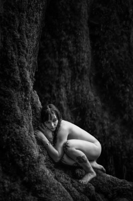 fear / Nature  photography by Photographer Christian Meier ★9 | STRKNG