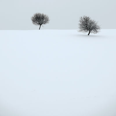 quiet winter / Landscapes  Fotografie von Fotografin Renate Wasinger ★38 | STRKNG