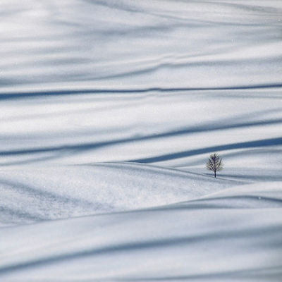 lonely / Landscapes  photography by Photographer Renate Wasinger ★38 | STRKNG