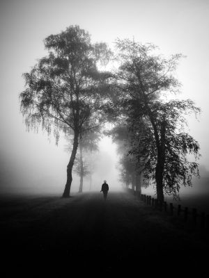 november walk / Black and White  photography by Photographer Renate Wasinger ★38 | STRKNG