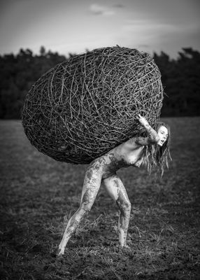 Onus Ovo VII / Nude  Fotografie von Fotograf Gutenbild ★7 | STRKNG