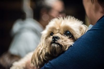 Olaf / Animals  photography by Photographer LWR.Photography ★1 | STRKNG