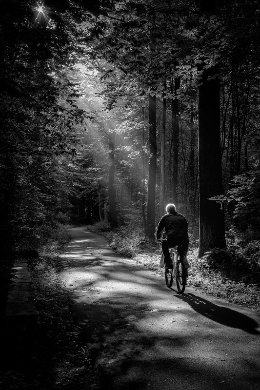 Eilenriede in the morning - &copy; Sebastian Berger | Black and White