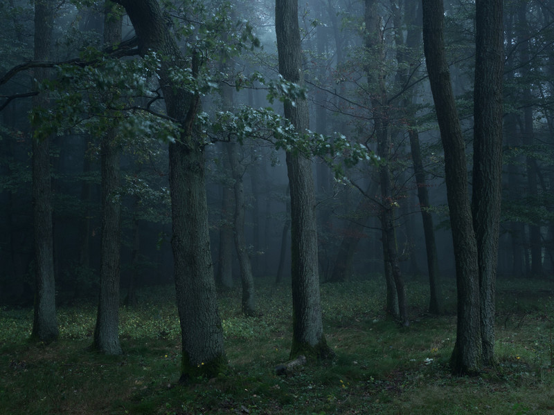 Early morning - &copy; Felix Wesch | Landscapes