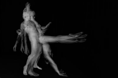 the beauty and the beast I / Konzeptionell  Fotografie von Fotograf Torsten Haberland ★6 | STRKNG