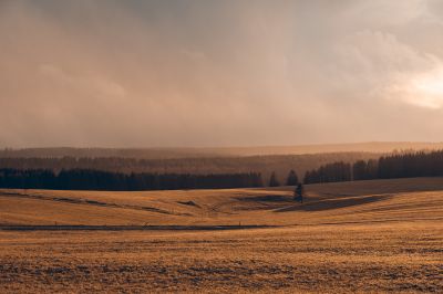 Landschaften im Harz / Landscapes  Fotografie von Fotograf Oliver Henze ★4 | STRKNG