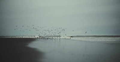 Sea / Landscapes  Fotografie von Fotografin - Humana - ★6 | STRKNG