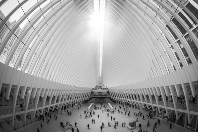 Oculus, NYC / Stadtlandschaften  Fotografie von Fotograf Jens Schlenker ★1 | STRKNG