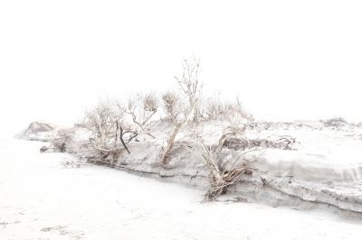 White Sand / Landscapes  photography by Photographer pf photo | STRKNG