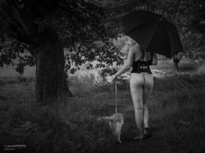 Katzen mögen keinen Regen / Conceptual  photography by Photographer josch ★3 | STRKNG