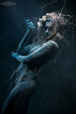 + + Tangled + + / Kreativ  Fotografie von Fotograf MADtography ★1 | STRKNG