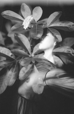 Les pleurs du printemps / Portrait  Fotografie von Fotografin Clara Diebler ★11 | STRKNG