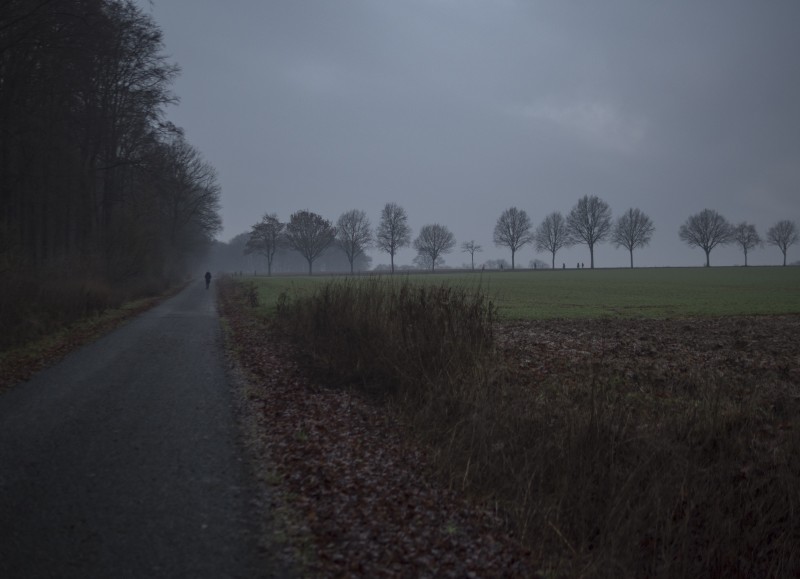 Baumberge, Münsterland - &copy; Jan Martin Mikkelsen | Mood