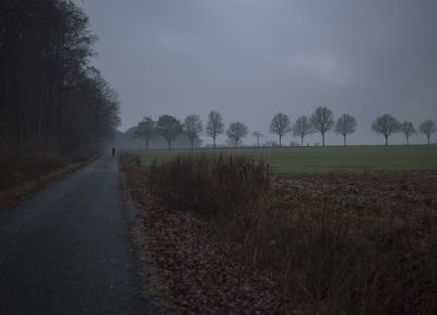 Baumberge, Münsterland / Stimmungen  Fotografie von Fotograf Jan Martin Mikkelsen | STRKNG