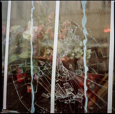 Broken Flowers / Abstract  photography by Photographer Andy Komoll ★4 | STRKNG