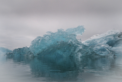 Silence / Wildlife  photography by Photographer Vamitos ★1 | STRKNG