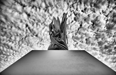 olympic pollo / Fine Art  Fotografie von Fotograf Kevin Solie | STRKNG