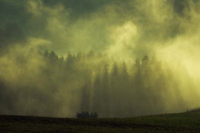 The Day After / Landscapes  Fotografie von Fotograf Marian Hummel ★11 | STRKNG