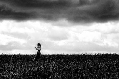 INTO THE FIELDS / Abstrakt  Fotografie von Fotograf Marian Hummel ★11 | STRKNG