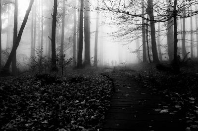 Lost Track / Mood  photography by Photographer Marian Hummel ★11 | STRKNG