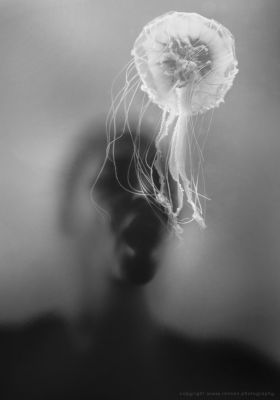 E L E M E N T / Creative edit  photography by Photographer RENSEN ★12 | STRKNG