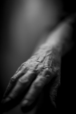 Roots of Annabel / Schwarz-weiss  Fotografie von Fotografin Livia Lamana | STRKNG