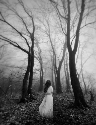 virgin autumn / Conceptual  photography by Photographer Jiří Kois ★13 | STRKNG