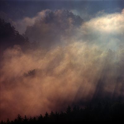 Morgennebel / Landscapes  Fotografie von Fotograf Paul Neugebauer ★1 | STRKNG