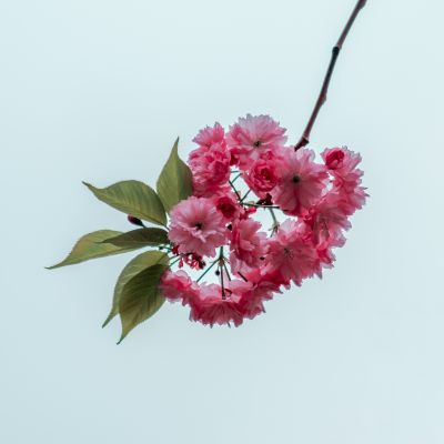 Natur  Fotografie von Fotograf Quirin Brunhuber | STRKNG