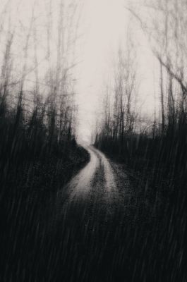 Spooky forest / Fine Art  Fotografie von Fotograf Karim bouchareb ★17 | STRKNG