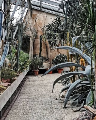 Succulent Greenhouse / Interior  photography by Photographer Nina Guillard | STRKNG