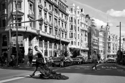 Black Swan / Street  photography by Photographer Ralf Scherer ★9 | STRKNG