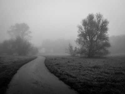 l&#039;automne (2022) / Black and White  photography by Photographer René Greiner Fotografie ★3 | STRKNG