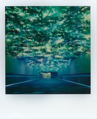 Airport Rainforest / Instant-Film  Fotografie von Fotografin Bret Watkins ★1 | STRKNG