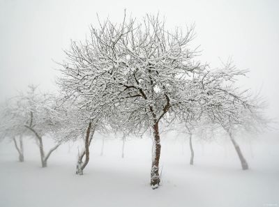 Dancers / Landscapes  photography by Photographer Egon K ★1 | STRKNG