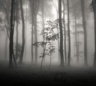where the middle is / Black and White  photography by Photographer Egon K ★1 | STRKNG