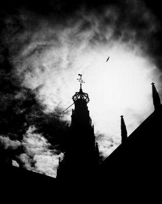 Haarlem / Schwarz-weiss  Fotografie von Fotograf Tjeerd van der Heeft | STRKNG