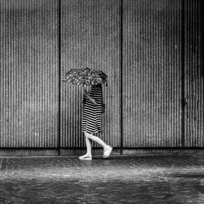 the wrong chameleon / Street  Fotografie von Fotograf Uwe Leininger ★2 | STRKNG
