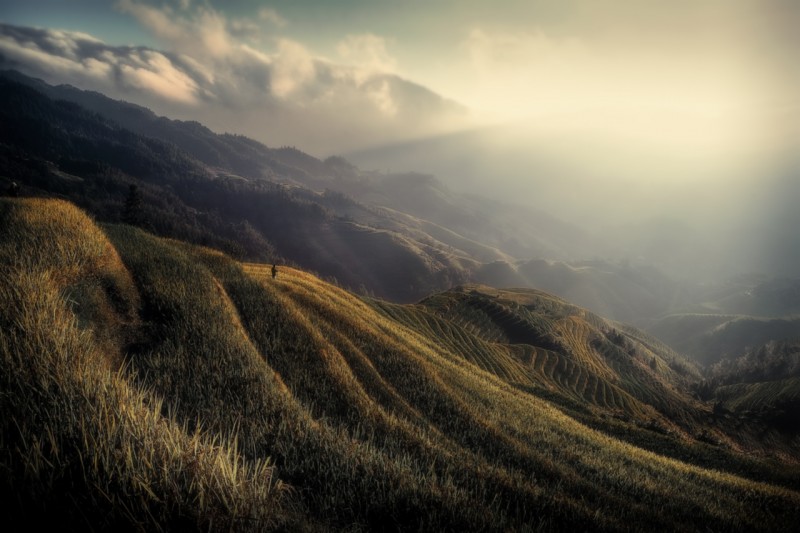 The rice fields - &copy; Fabrizio Massetti | Landscapes