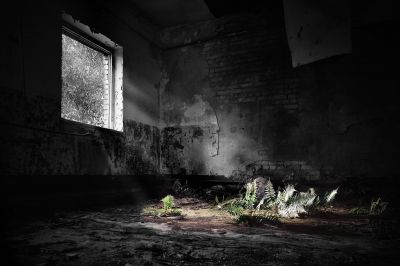 Die Rückkehr der Natur / Lost places  Fotografie von Fotograf Jonas Rediske | STRKNG