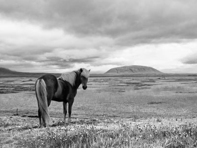 Villingafjall / Landscapes  photography by Photographer Carsten Krebs | STRKNG