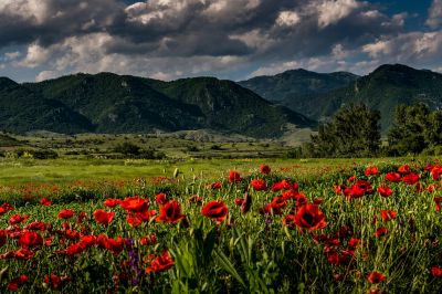 Georgia / Landscapes  photography by Photographer Ralf Kayser | STRKNG