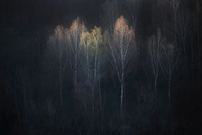 burning / Landscapes  photography by Photographer Mindaugas Buivydas ★1 | STRKNG